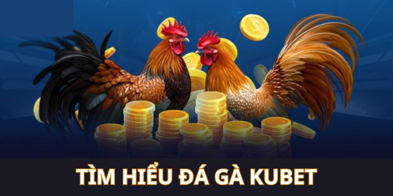 Đá Gà Kubet – Giải Trí Đỉnh Cao Với Tỷ Lệ Thưởng Hấp Dẫn
